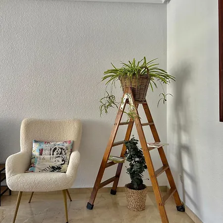 Piso En El Corazon De Con Ubicacion Unica Alicante