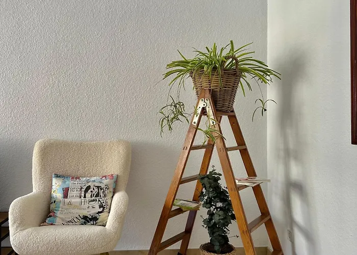 Piso En El Corazon De Con Ubicacion Unica Alicante